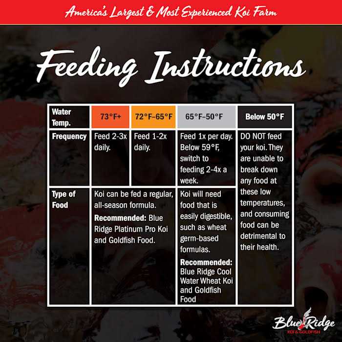 Fish Food Pellets R174740