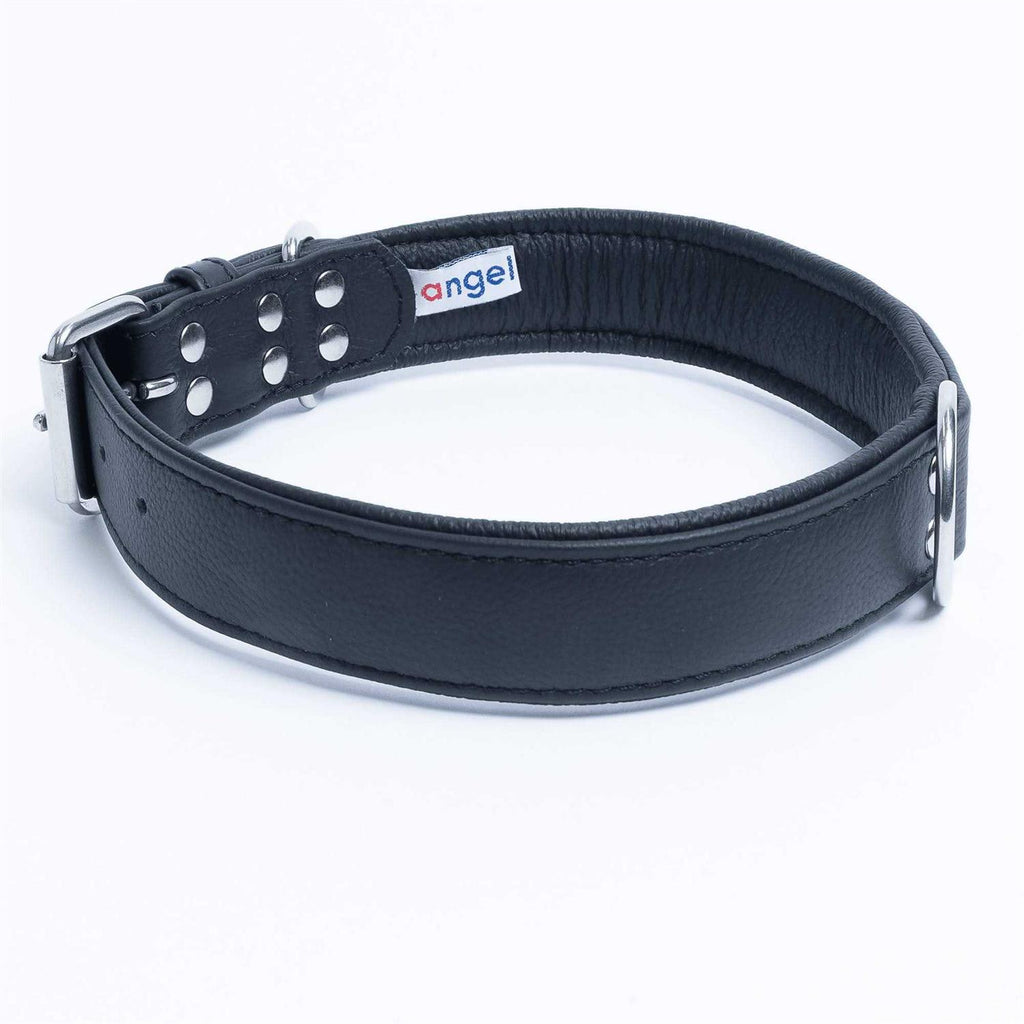 Dog Collar E867