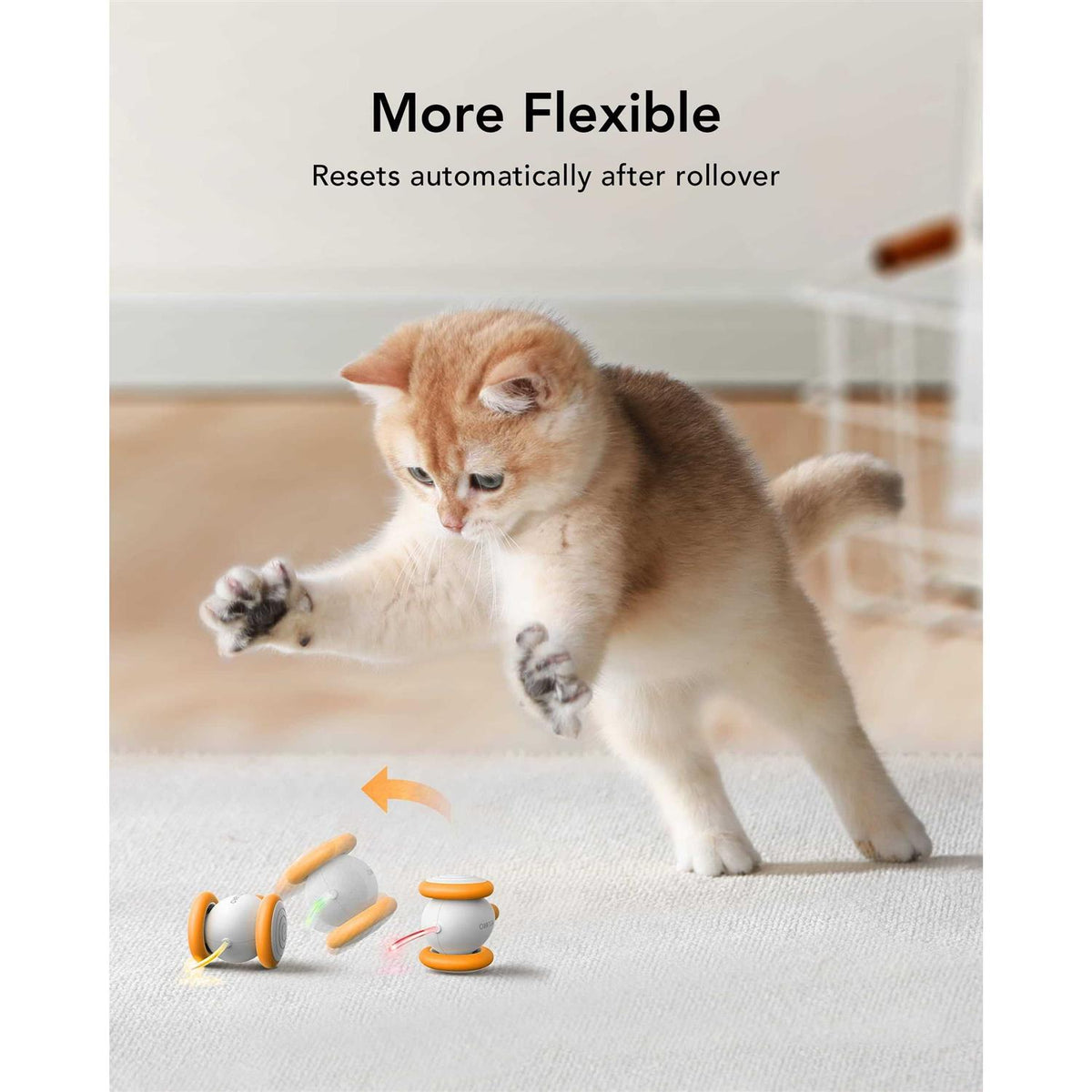Interactive Cat Toys with LED Lights E478844