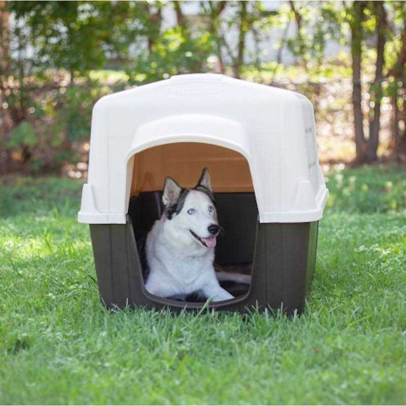 Pet Supplies C397965