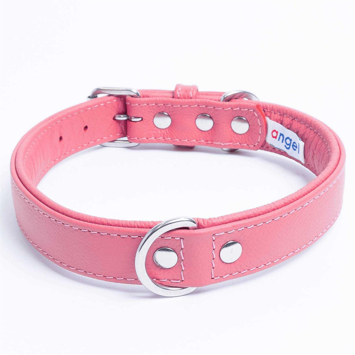 Dog Collar E867
