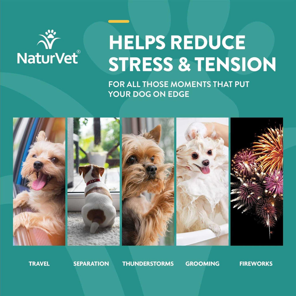 Hemp Oil Calming Drops for Dogs & Cats L787231