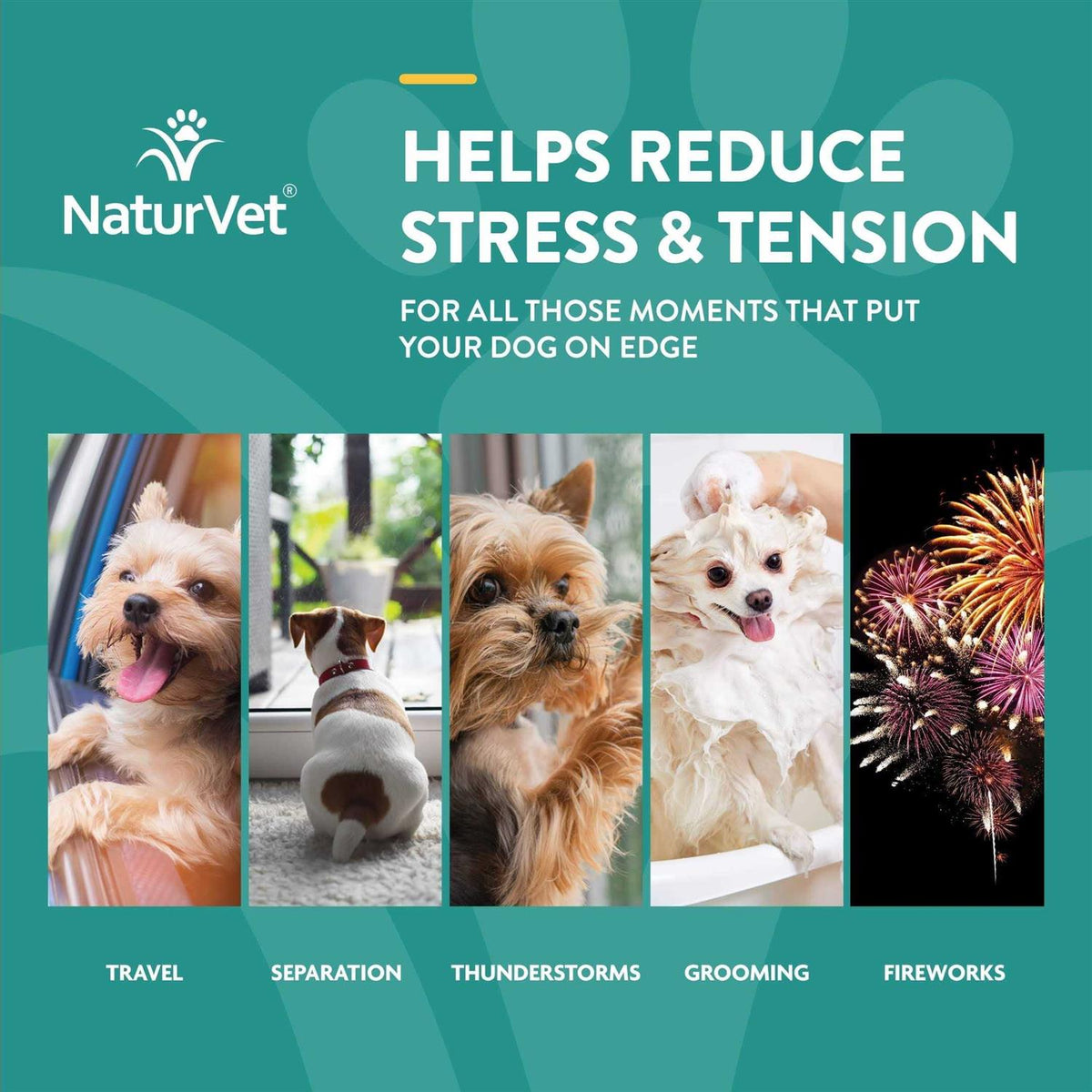 Hemp Oil Calming Drops for Dogs & Cats L787231