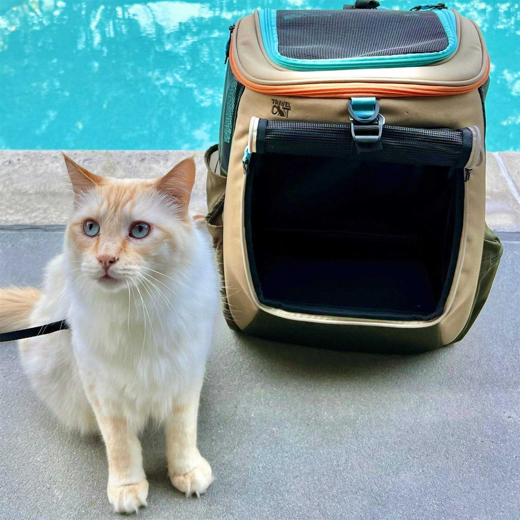 Convertible Cat Backpack Y858