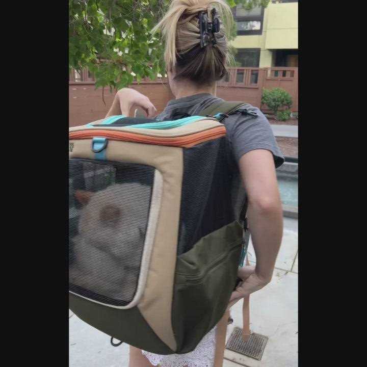 Convertible Cat Backpack Y858