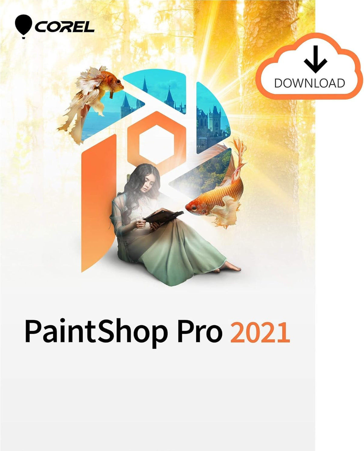 Photo Editing & Graphic Design Software [PC Download] B303