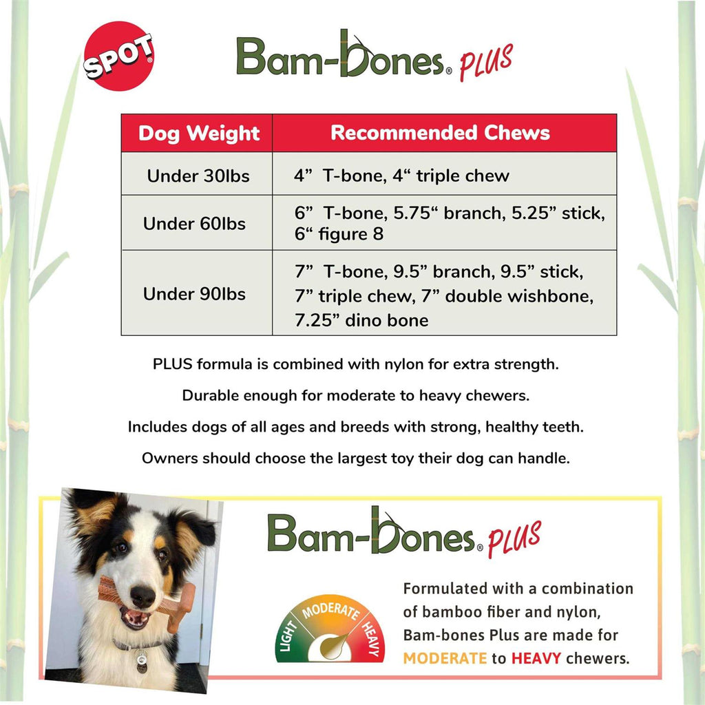 Beef Bone V493