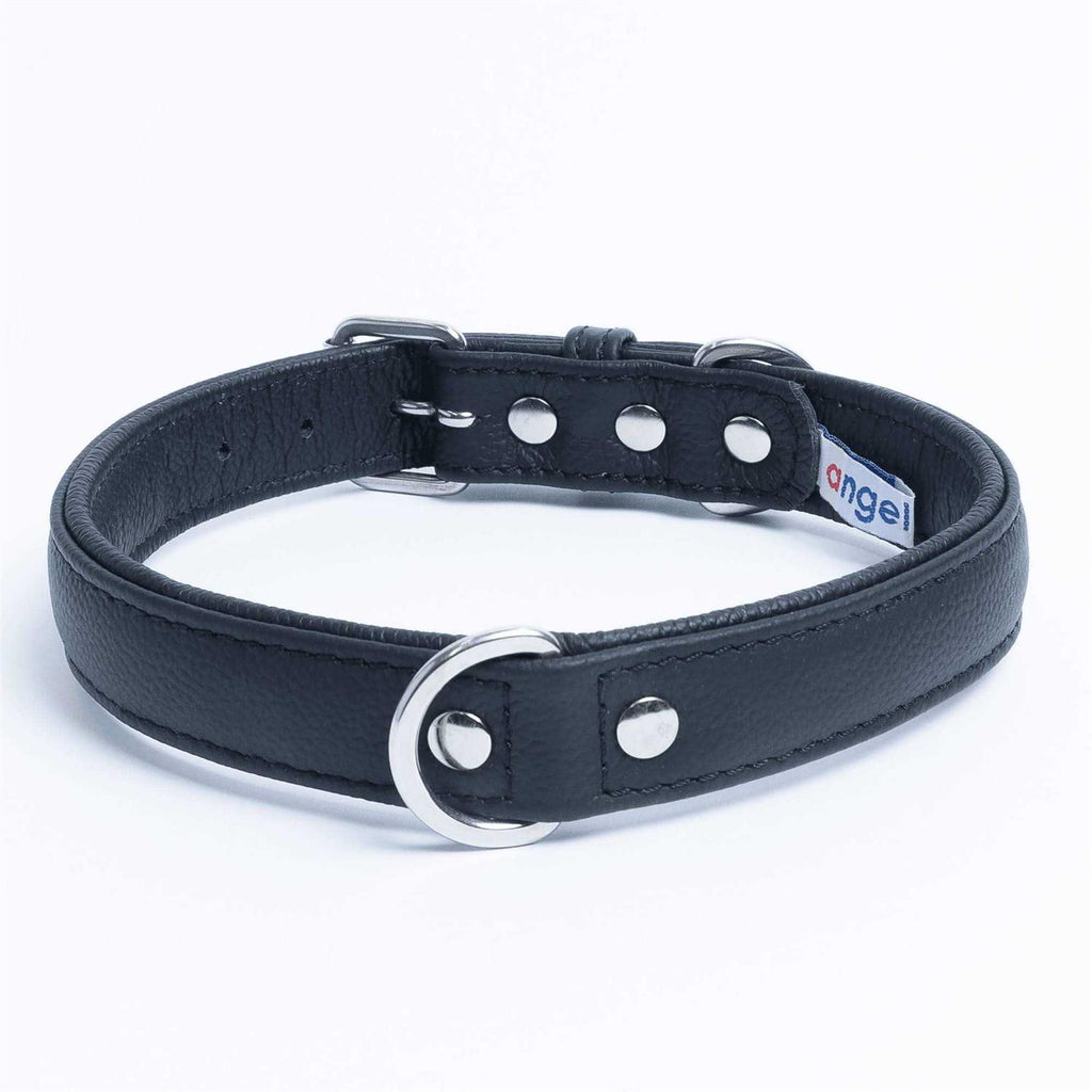 Dog Collar E867