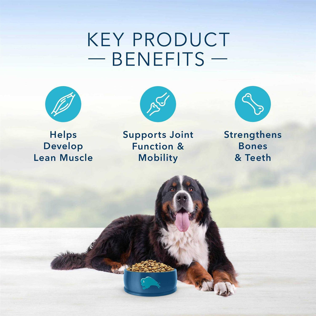 Natural Chicken and Brown Rice Dry Dog Food O603