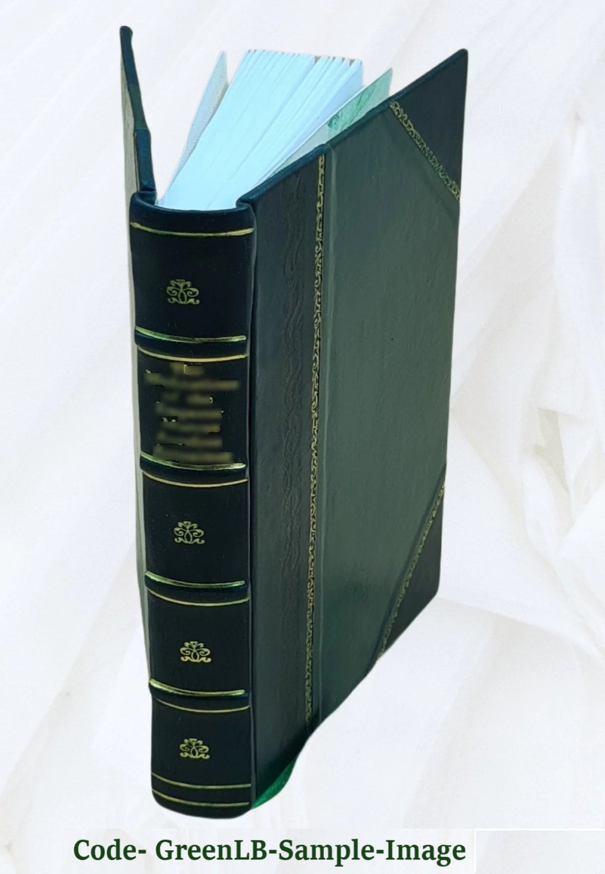 1921 Leather Bound C481
