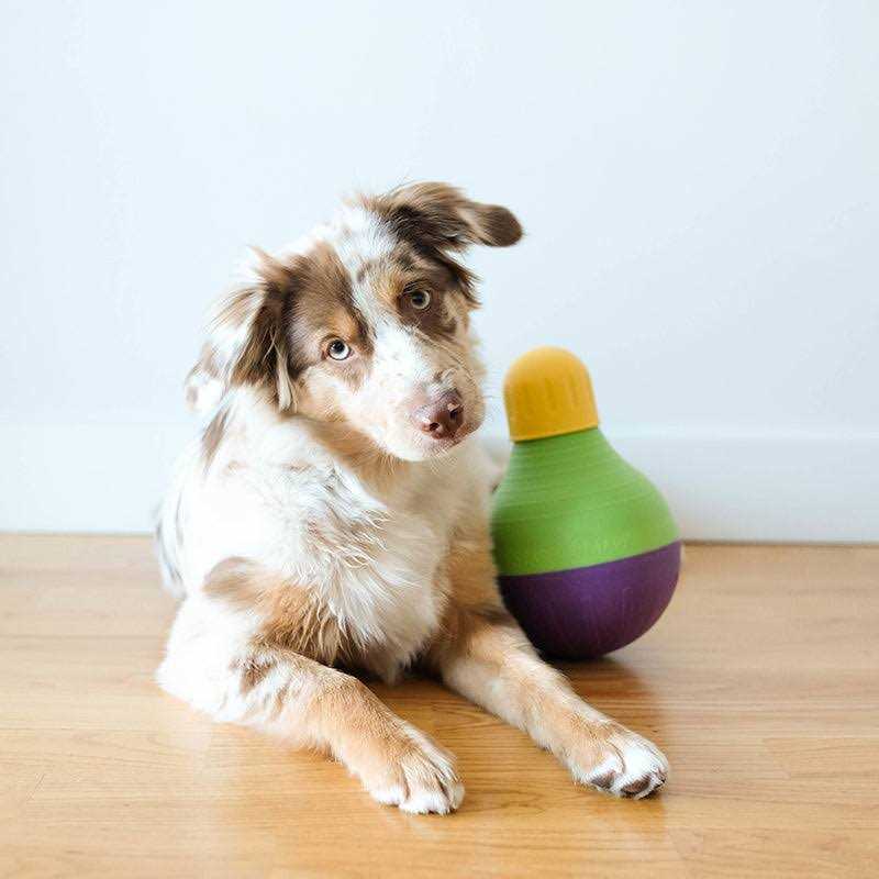 Treat Dispensing Toy L744489
